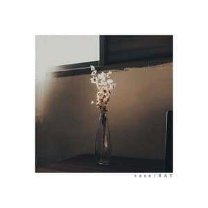 vase jacket