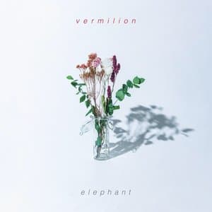 Vermilion jacket