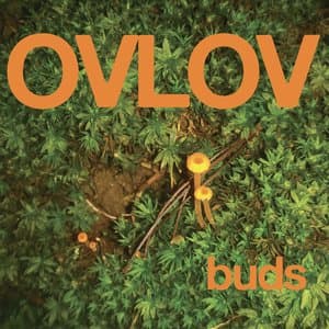 Buds jacket