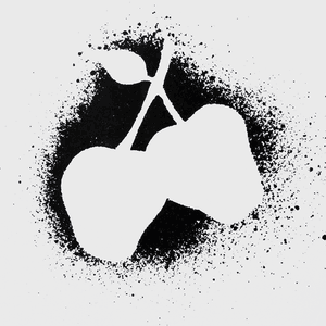 Silver Apples jacket