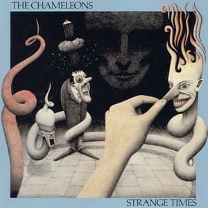 Strange Times jacket