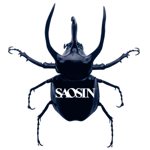 Saosin jacket