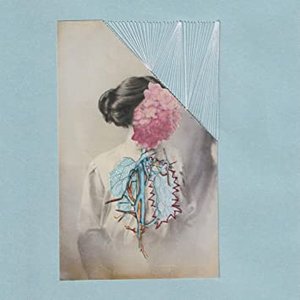 縫層 jacket