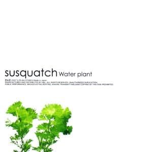 Water Plant jacket