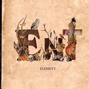 ELEMENT jacket