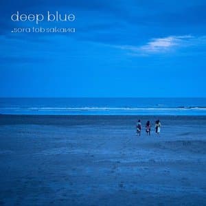 deep blue jacket