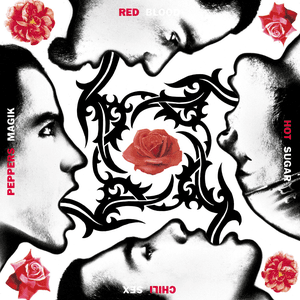 Blood Sugar Sex Magik jacket