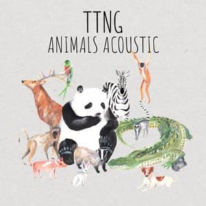 Animals Acoustic jacket