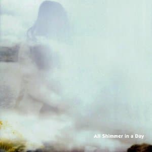 All Shimmer in a Day jacket