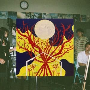 新・島盤 jacket