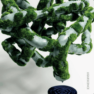 LIQUESCENCE jacket