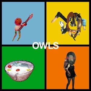 Owls jacket